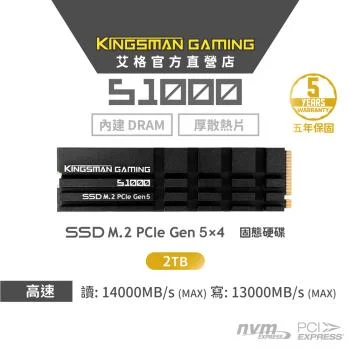 AITC KINGSMAN S1000 2TB