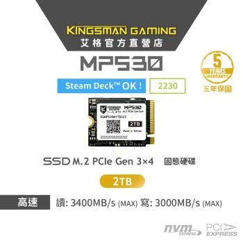 AITC KINGSMAN MP530 2TB